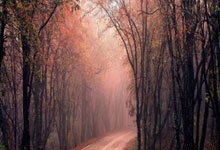 哪里能找到靠谱的网球免费观看直播平台？