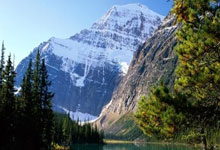 世俱杯决赛直播该如何选择平台？赛事看点有哪些？