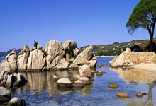 里卡多·佩雷拉是谁？他在足球领域有怎样的表现？